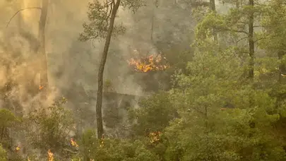 Antalya ve Muğla’da orman yangını alarmı: Bazı oteller tahliye edildi