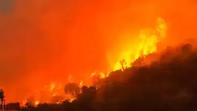 Balıkesir Dursunbey’de orman yangını: Ekipler seferber oldu