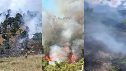 Konya, Çanakkale ve Antalya’da eş zamanlı orman yangınları