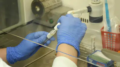 Lassa ateşi can almaya devam ediyor: 162 kişi hayatını kaybetti