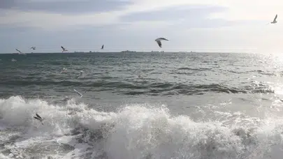 Marmara kıyılarında büyük tehlike: 1,6 milyon kişi risk altında