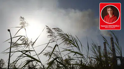 Yasemin Mıstıkoğlu yazdı: Masa Örtüsünü Çekmek: Bilimi Yok Saymanın Bedeli