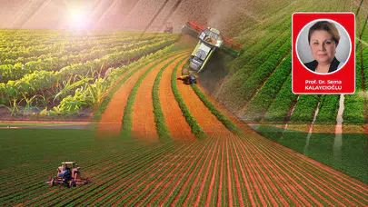 Tarımsal planlama ve hayvancılık destekleri