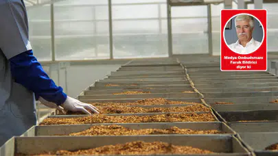 Tütün devinin lobi faaliyeti