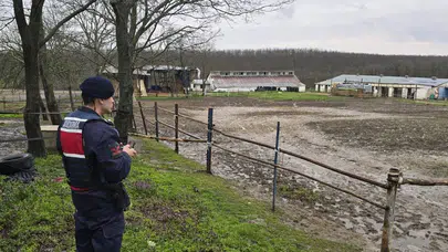 İstanbul’da 306 kilogram at eti ele geçirildi, 3 kişi gözaltında