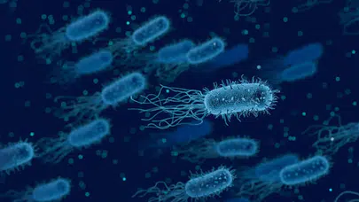 Bilim dünyasında çığır açan keşif: Bağırsak bakterileri serotonin üretiyor