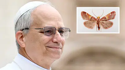 Girit'te keşfedilen yeni güve türüne Papa 14. Leo'nun adı verildi