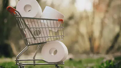 Selpak ve Solo’nun üreticisi Sanipak satılıyor