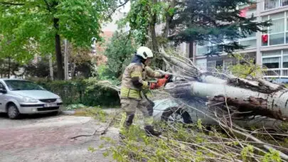 İstanbul’da poyraz etkili oldu: Beylikdüzü’nde devrilen ağaç otomobili ezdi