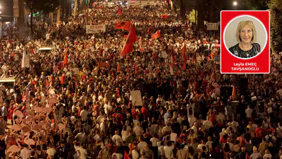Flamingolar, Demokrasi ve Hukukun Üstünlüğü