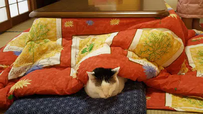 Japon evlerinin sıcaklık sırrı: Kalkmayı imkansız hale getiren kotatsu masaları