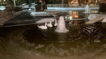 Ankara'nın simge parklarından Kuğulu Park buz tuttu