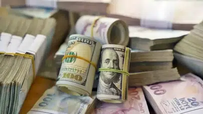 Özel sektörün yurt dışı kredi borcu 2,4 milyar dolar artış gösterdi