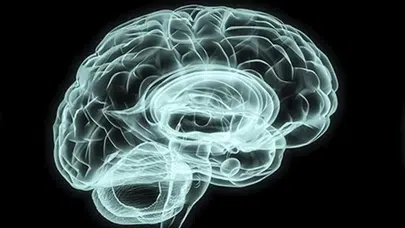 Uzmanlar, beyni güçlendiren en etkili içeceği açıkladı