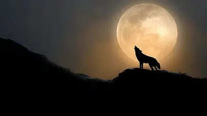 Kurt Ayı geliyor: 3 Ocak Dolunayı üç burcun yönünü değiştiriyor