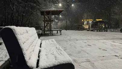 İçişleri Bakanlığı çok sayıda il için kuvvetli kar yağışı uyarısında bulundu