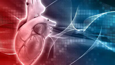 Araştırma: Yüksek testosteron erkeklerde kalp hastalığı riskini artırıyor
