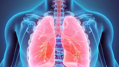 Uzmanından sağlıklı nefes için beslenme uyarısı: Akciğerleri koruyan 10 besin grubu