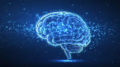 Psikoloji araştırmaları açıkladı: Düşük zekânın en yaygın 4 belirtisi