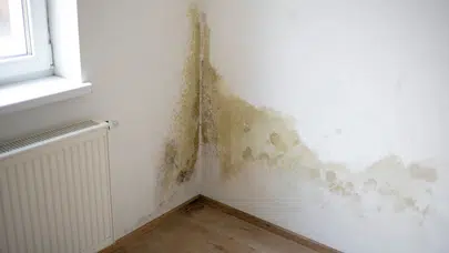 Evde küf ve rutubet kokusu nasıl giderilir? Pratik ve kesin çözümler