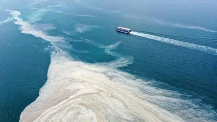 Marmara’da müsilaj denetimi: İki büyükşehir belediyesi ile dört işletmeye 10 milyon lira ceza