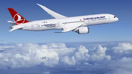 The New York Times, Türk Hava Yolları uçaklarında tahtakurusu bulunduğunu iddia etti