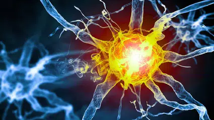 Beynimiz duygusal anıları neden unutmuyor?