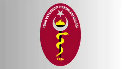 Türk Veteriner Hekimler Birliği'ne siber saldırı: 26 bin veteriner hekimin kişisel verileri çalındı