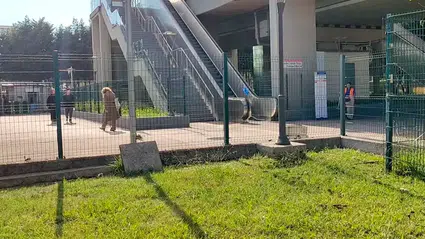 İstanbul'da bir tramvay durağında ceset bulundu