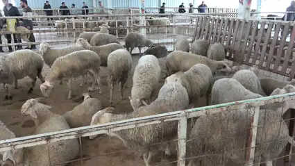 2026 Kurban Bayramı ne zaman? 9 gün tatil olacak mı?