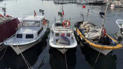 Balıkçılara müsilaj desteği verilecek