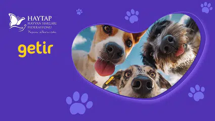 HAYTAP ve Getir iş birliği kapsamında bağışlanan 150 ton mamanın 10 tonu Samsun’a ulaştı