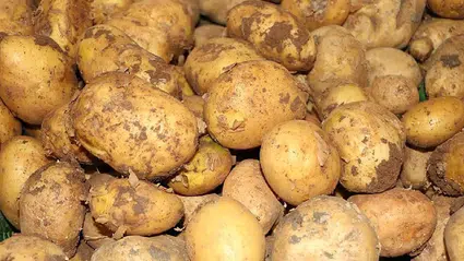Patates fiyatı gündem oldu: Bakanlık'tan açıklama geldi