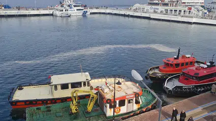 Marmara balıksız kaldı: Sebebi iklim krizi ve bilinçsiz avlanma