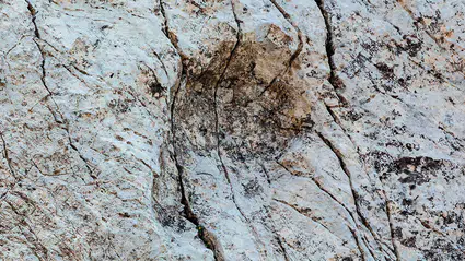 İtalya'da bir dağda binlerce dinozor ayak izi keşfedildi