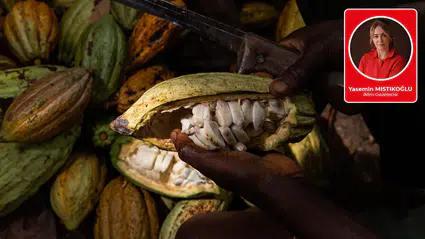 Belçika’daki çikolatadan Türkiye’deki iklim davasına