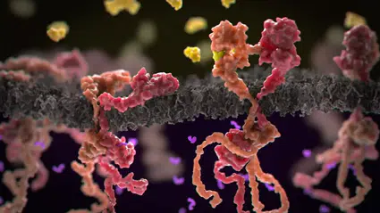 Gen düzenleme tekniğiyle ‘tedavi edilemez’ kan kanserinde umut veren sonuçlar