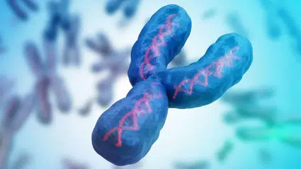 Y kromozomu alarmı: Erkekler yok mu olacak?