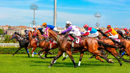 TJK’nın gelir yapısında radikal değişim: At yarışı bahis yetkisi devredildi
