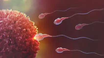 Tek sperm bağışçısından 197 çocuk, yüzde 90 kanser riski ortaya çıktı