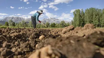Yumaklı duyurdu: IPARD-III kapsamında 2,2 milyar liralık hibe dağıtılacak