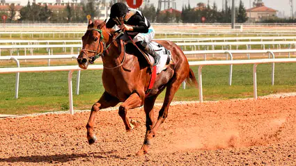 United Racing Şans Oyunları A.Ş. kimdir, nedir? Kime aittir?