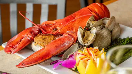 Istakozların canlı olarak kaynatılmasına İngiltere'de de yasak getiriliyor