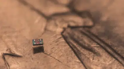 Bir kum tanesinden küçük: Dünyanın en küçük programlanabilir robotu geliştirildi