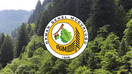 OGM 3477 Destek Personeli İhtiyacını Karşılamak İçin Alım Yapıyor! İşte Başvuru Bilgileri ve Kadro Dağılımı