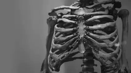 Facebook’ta insan kemikleri satışı: Kafatası, kaburga, omur