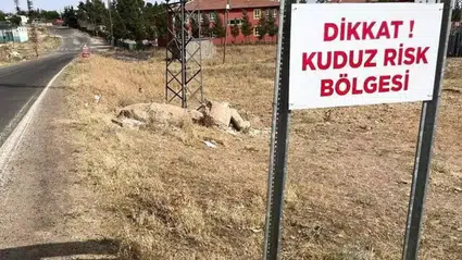 Hatay Dörtyol’da kuduz alarmı: Özerli Mahallesi karantinaya alındı