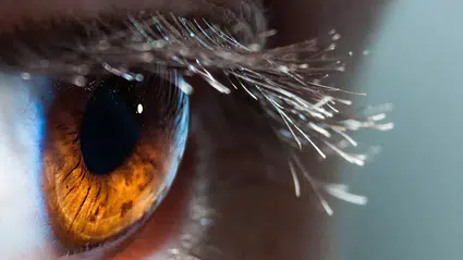 KAIST Üniversitesi’nden görme kaybına kalıcı çözüm: Retina onarımı tedavisi geliştirildi