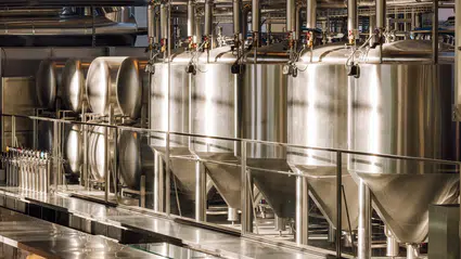 Avusturyalı öKlo, idrardan bira üretiminde çığır açacak proje başlattı