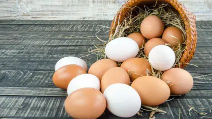 TÜİK verilerine göre tavuk yumurtası üretimi martta yıllık bazda azaldı